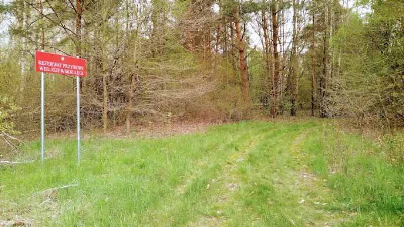 Rezerwat przyrody Wieliszewskie Łęgi